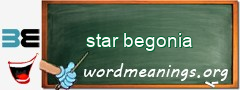 WordMeaning blackboard for star begonia